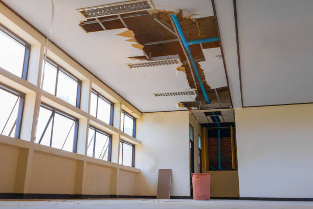 Best 24-hour water damage restoration  in South Hill, VA