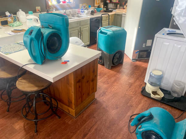 Best Water damage restoration near me  in South Hill, VA