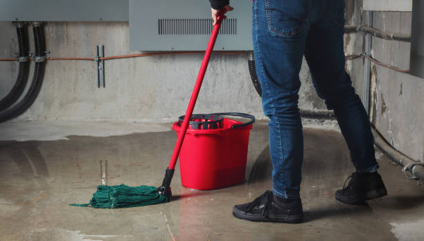 Best Water damage restoration near me  in South Hill, VA