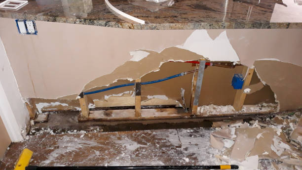 Best Water damage restoration near me  in South Hill, VA