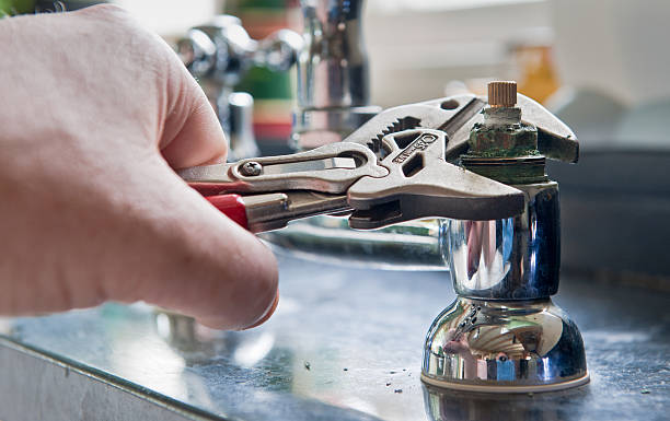 Best Water damage cleanup near me  in South Hill, VA