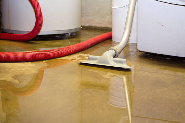 Best Sewage cleanup and water damage restoration  in South Hill, VA