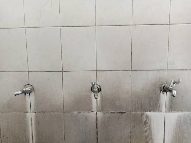 Best Emergency water damage restoration  in South Hill, VA