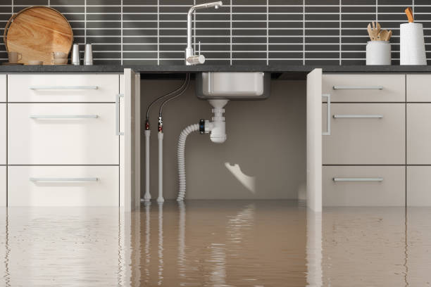Best Sewage cleanup and water damage restoration  in South Hill, VA