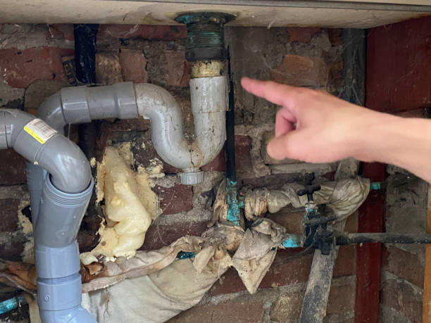 Best Flood damage cleanup  in South Hill, VA
