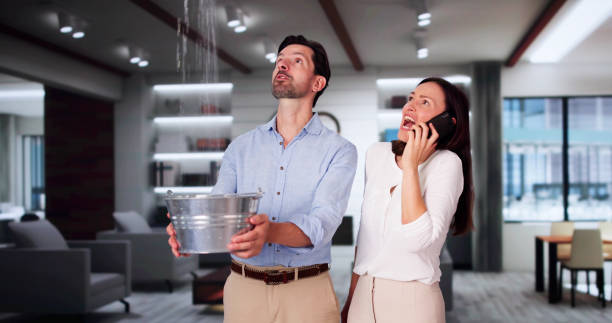 Best Water damage contractors near me  in South Hill, VA