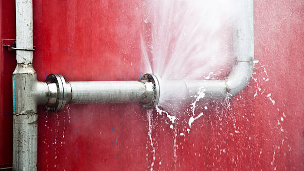Best Flooded house restoration  in South Hill, VA